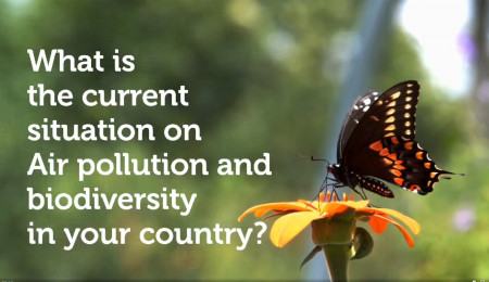 What is the current stance of circular economy in your country?